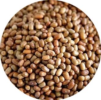 math gavran 500gm ( Matki)